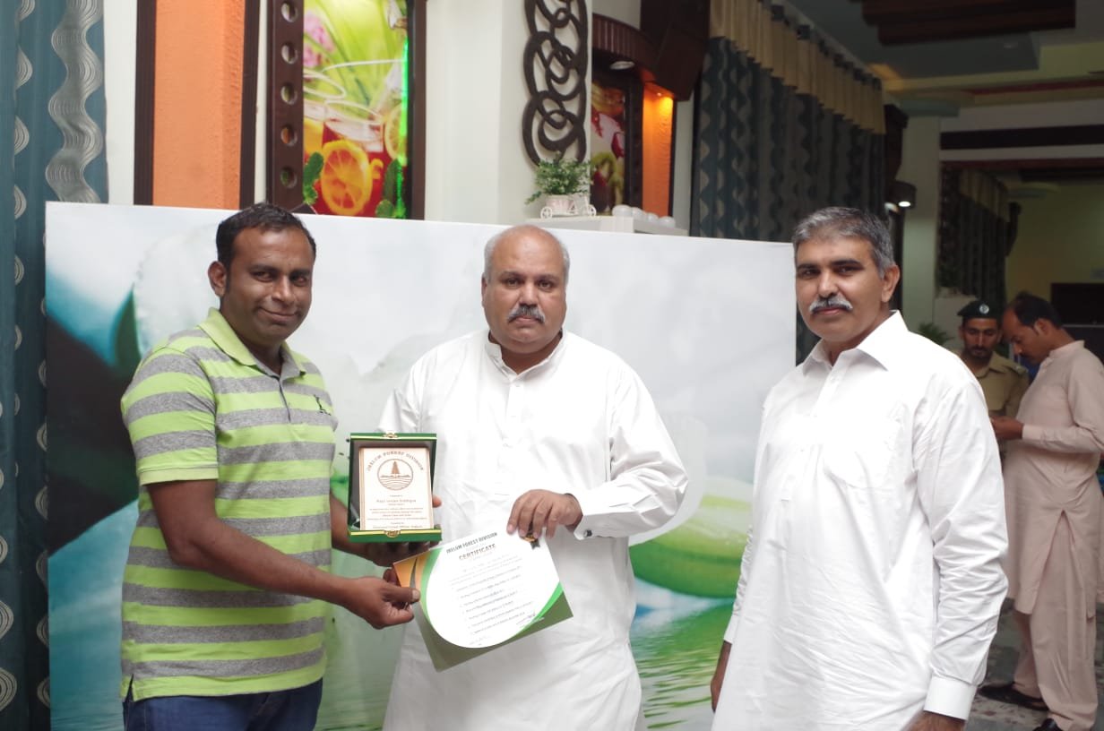 Tree Plantation